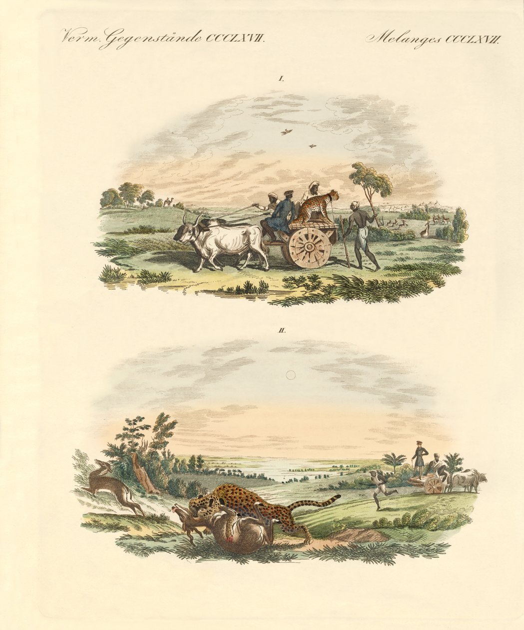 Antelopes hunting with leopards (coloured engraving) بواسطة المدرسة الألمانية