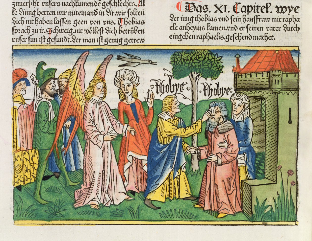 Apocrypha: توبياس يعيد والده توبيتس مشهد مرارة سمكة ، من الكتاب المقدس نورمبرغ (Biblia Sacra Germanaica) (قطع خشبية ملونة) بواسطة المدرسة الألمانية