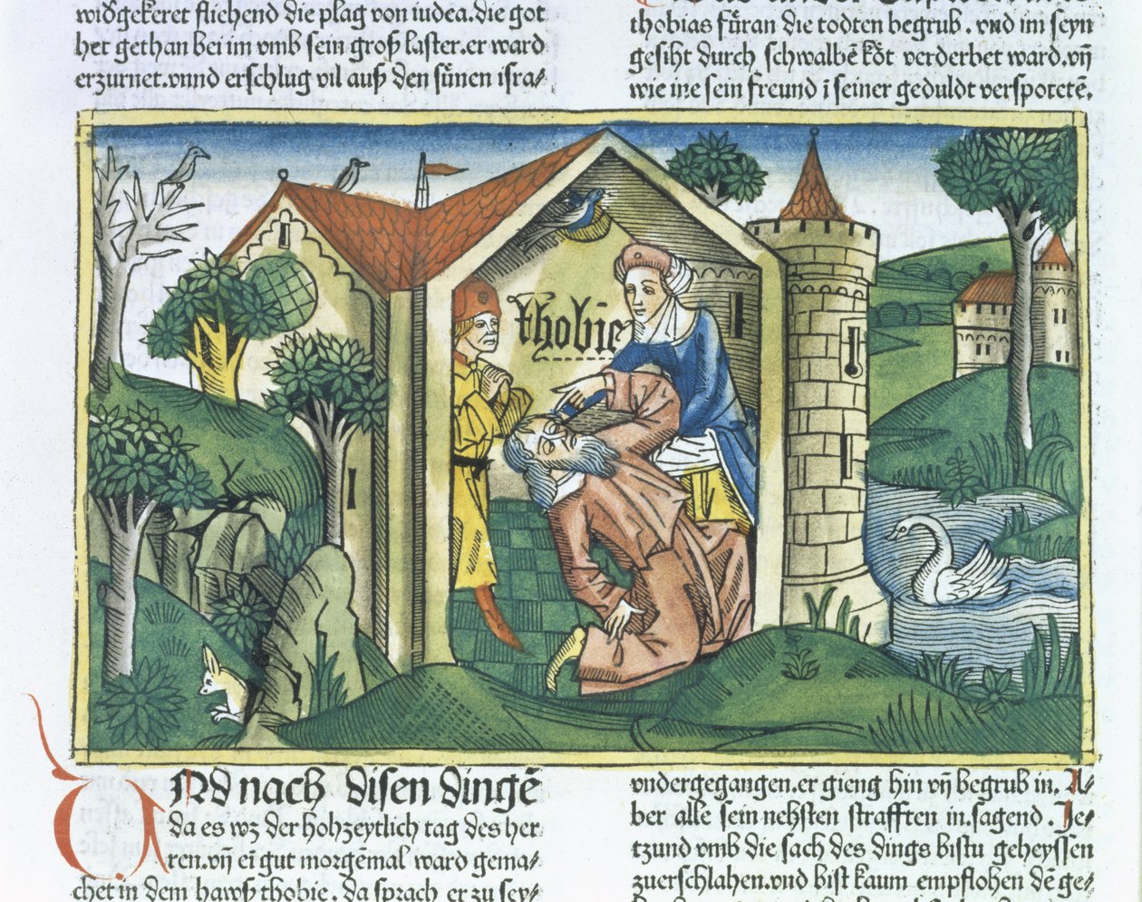 Apocrypha: توبيت أعمى من روث العصافير ، من الكتاب المقدس نورمبرغ (Biblia Sacra Germanaica) (قطع خشبية ملونة) بواسطة المدرسة الألمانية