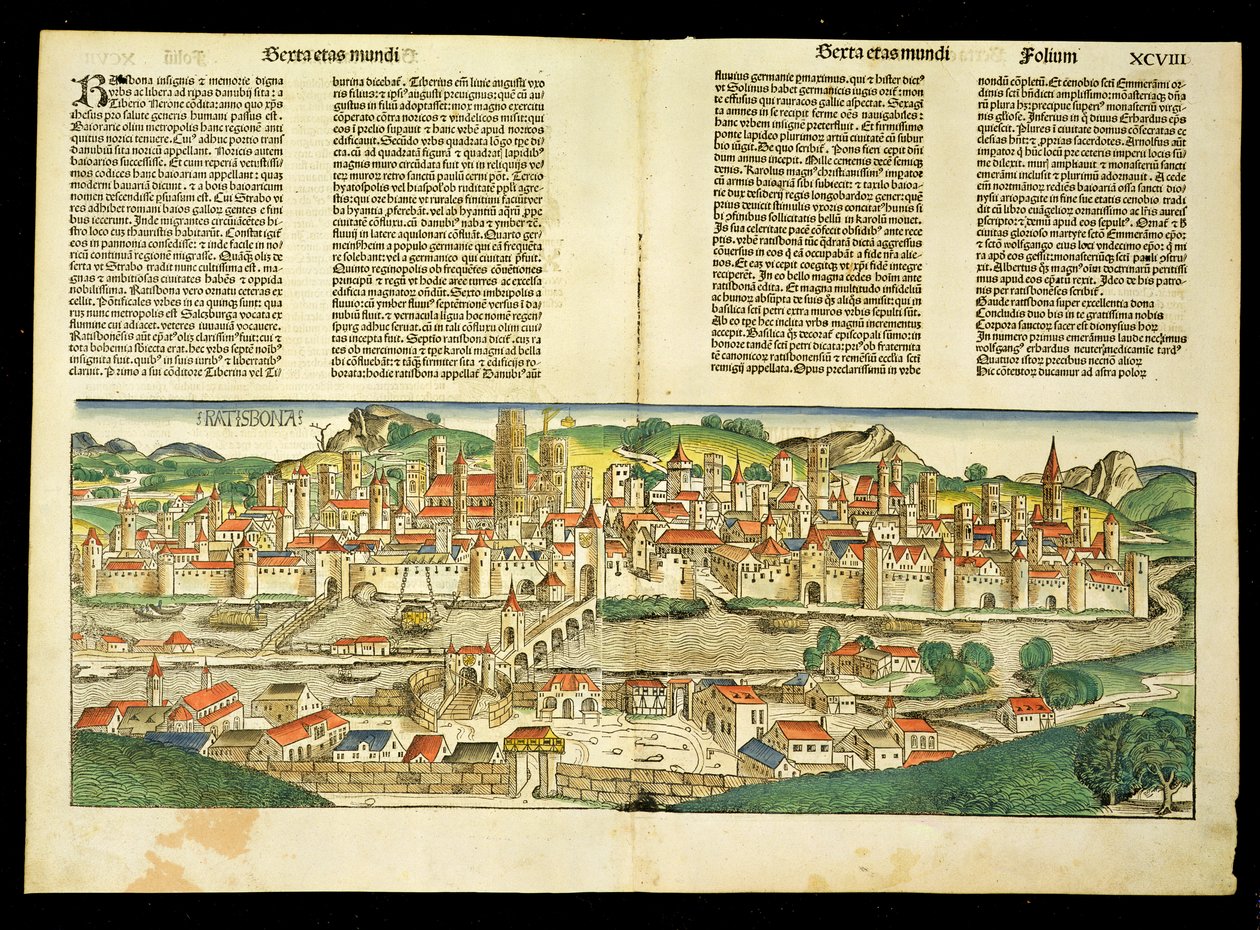 منظر عين الطيور لراتسبون ، من نورنبرغ كرونيكل بقلم هارتمان شيدل (1440-1514) 1493 بواسطة المدرسة الألمانية