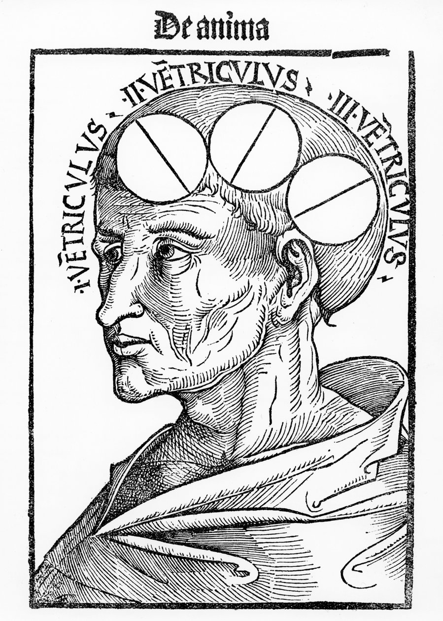 تجاويف الدماغ ، من Philosophia Naturalis بقلم ألبرتوس ماغنوس ، نشر في بازل ، 1506 بواسطة المدرسة الألمانية