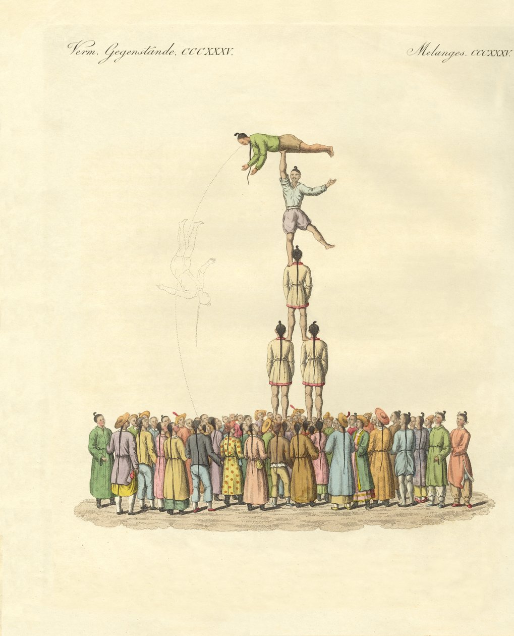 Chinese bateleus (coloured engraving) بواسطة المدرسة الألمانية