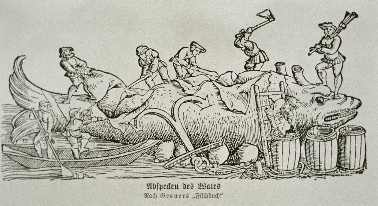 Cutting Up a Whale (woodcut) بواسطة المدرسة الألمانية