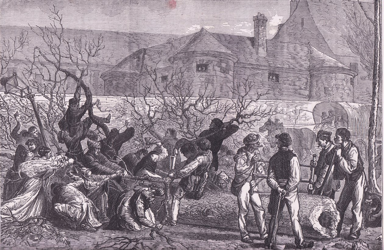 Cutting down trees round Paris for firewood, Cassells History of the War between France and Germany published by Cassell and Company Limited, c.1890 (litho) بواسطة المدرسة الألمانية