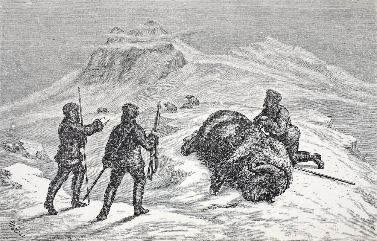 وفاة المسك الثور ، حانة. لندن 1874 بواسطة المدرسة الألمانية
