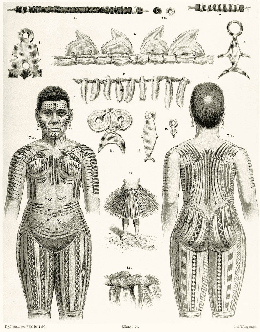 رسم تخطيطي يوضح المجوهرات البولينيزية ، والزخارف وتصميمات الوشم ، 1888 بواسطة المدرسة الألمانية