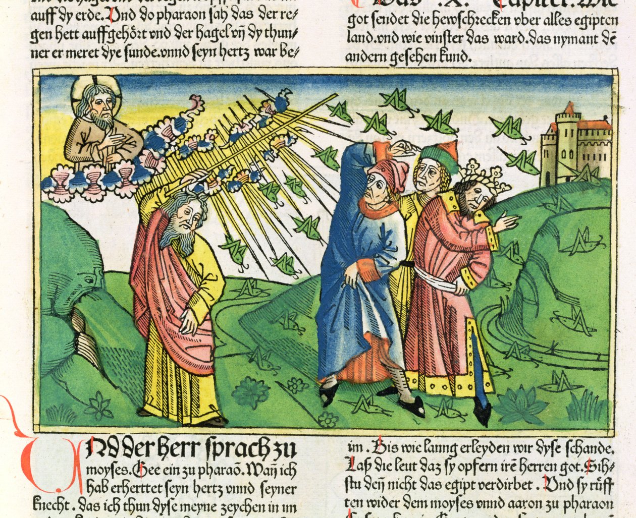 خروج 10: 1-20 الضربات السبع في مصر: وباء الجراد ، من الكتاب المقدس نورمبرغ (Biblia Sacra Germanaica) (قطع خشبية ملونة) بواسطة المدرسة الألمانية