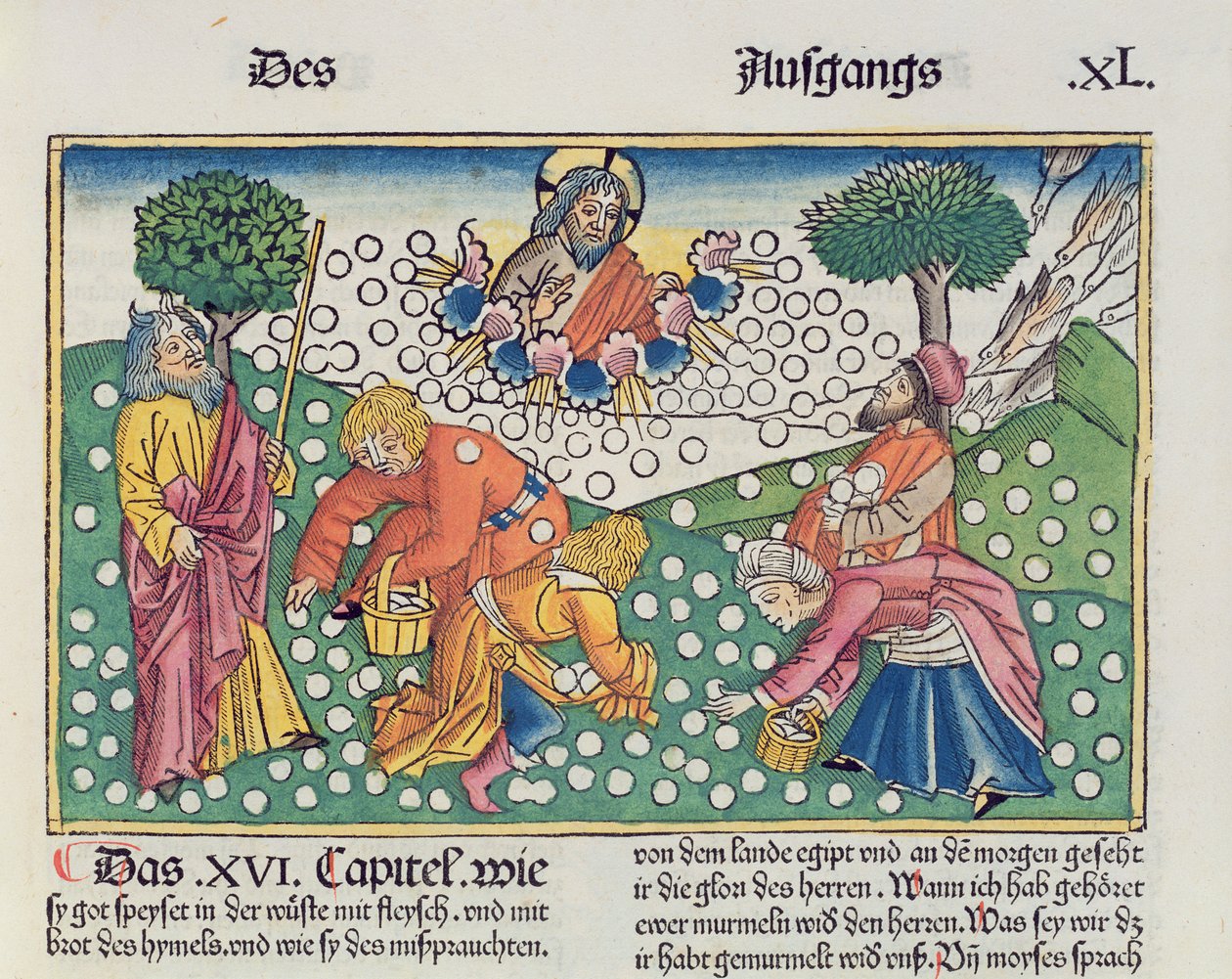 خروج 16 13-22 الله يوفر السمان والمنة للإسرائيليين ، من الكتاب المقدس نورمبرغ (Biblia Sacra Germanaica) (قطع خشبية ملونة) بواسطة المدرسة الألمانية