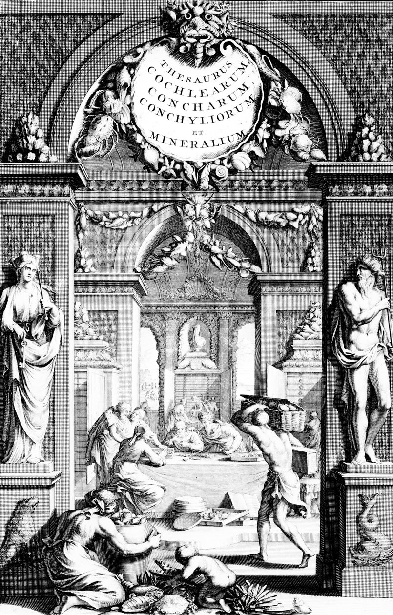 صورة في وجه الكنز لصور أواني الأسماك من طبعة إيبرهارد بومفيوس المنشورة عام 1739 بواسطة المدرسة الألمانية