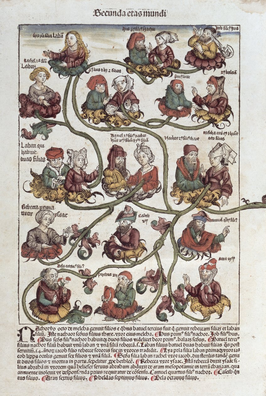شجرة الأنساب من لبن ، من "Liber Chronicarum" بواسطة هارتمان شيدل (1440-1514) 1493 (قطع خشبية ملونة) بواسطة المدرسة الألمانية