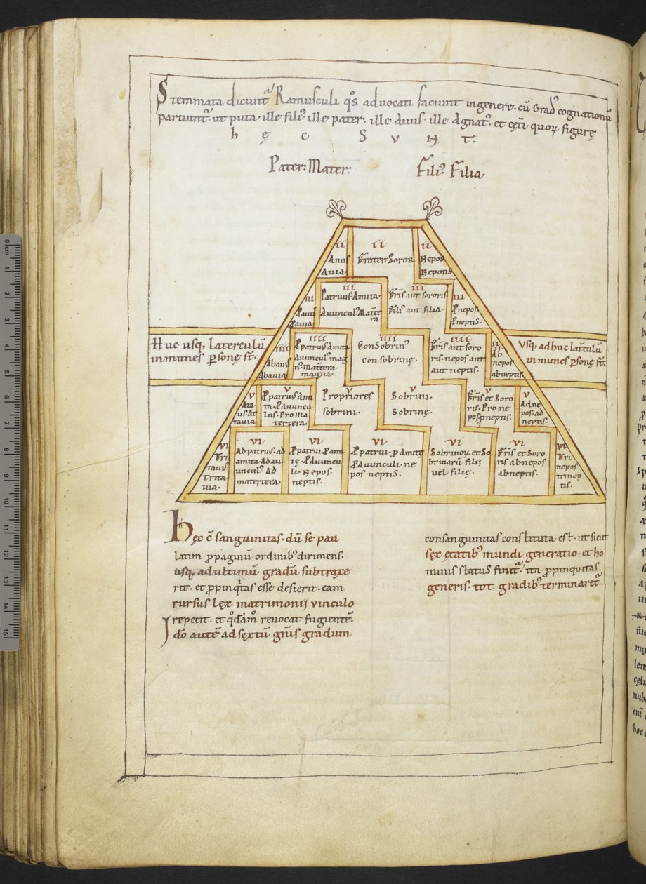 Harley MS 2660 f.91v "Etymologiae and De natura rerum" بواسطة Isidore of Seville بواسطة المدرسة الألمانية