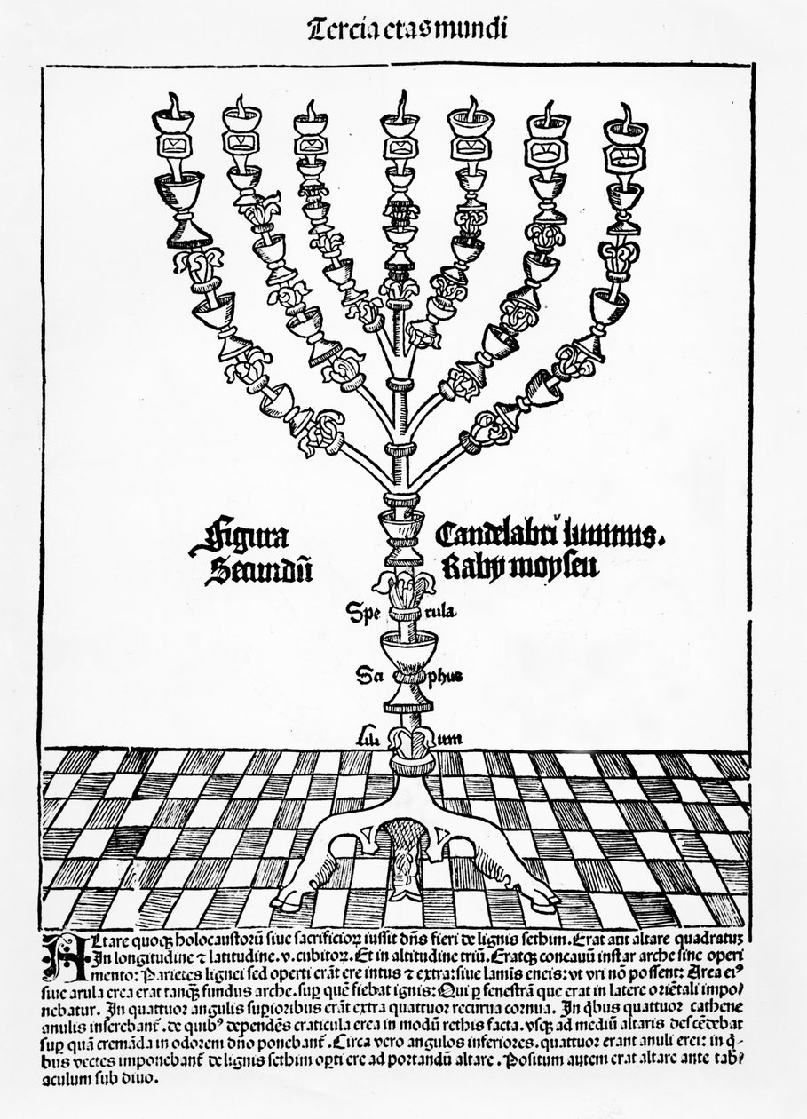 Menorah ، من Liber Chronicarum بواسطة Hartmann Schedel ، تم نشره في نورمبرغ ، 1493 بواسطة المدرسة الألمانية