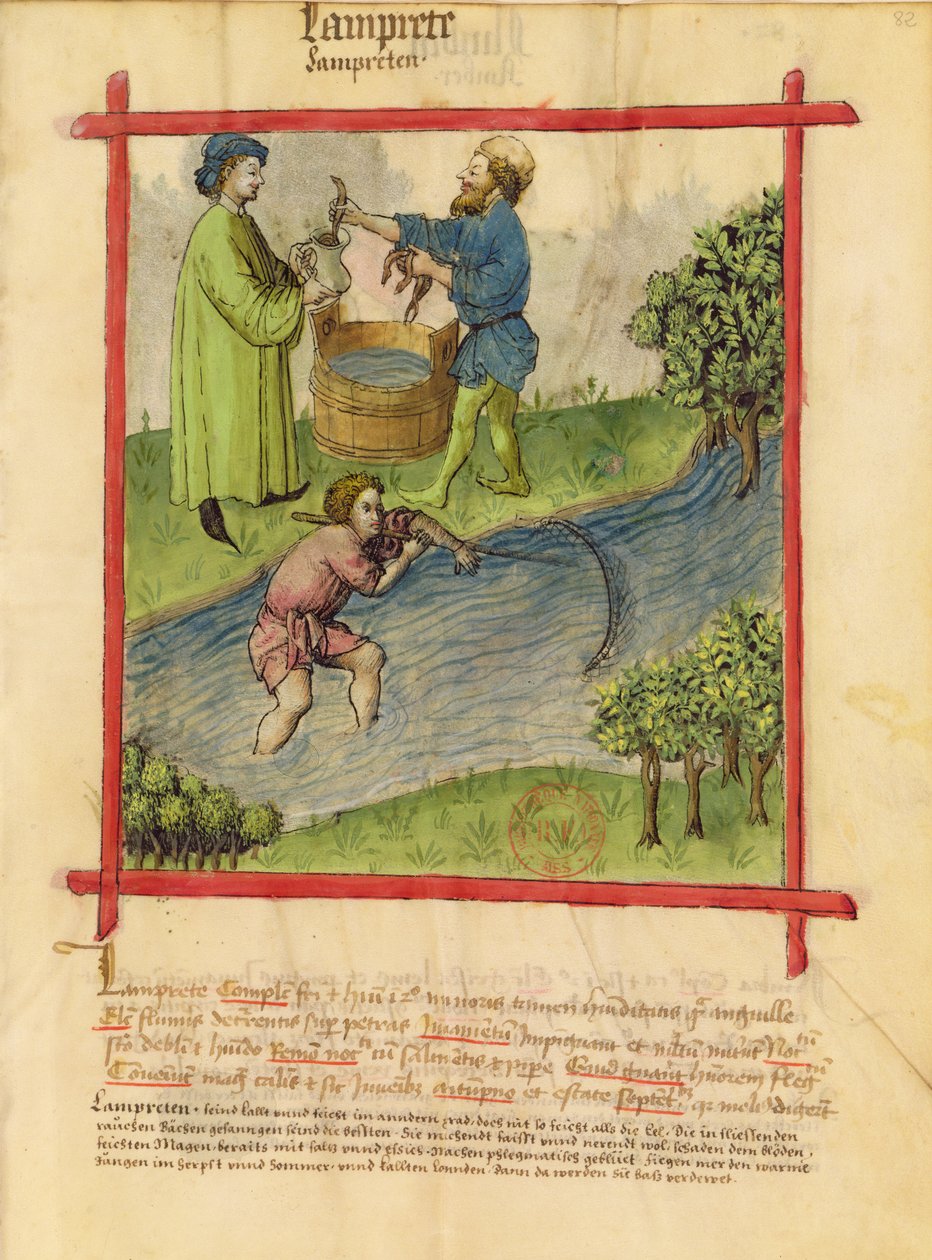 MS 9333 f.82 صيد الثعابين ، من Tacuinum صحية بواسطة المدرسة الألمانية