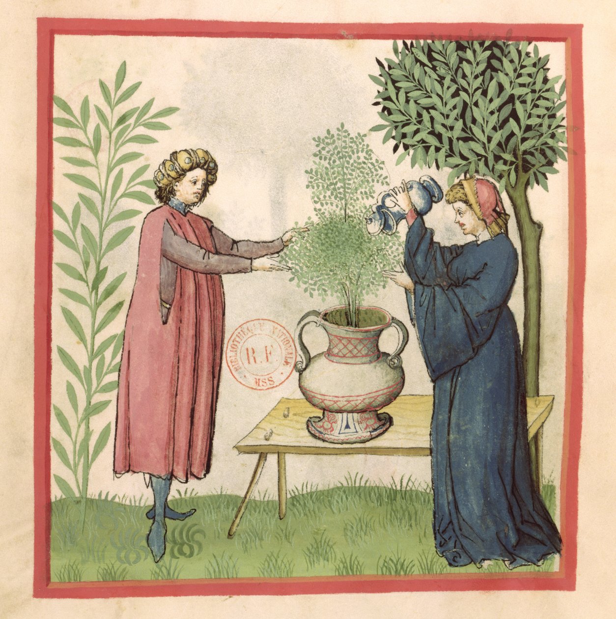 السيدة لات 9333 fol.30 Marjoram ، من Tacuinum صحية بواسطة المدرسة الألمانية