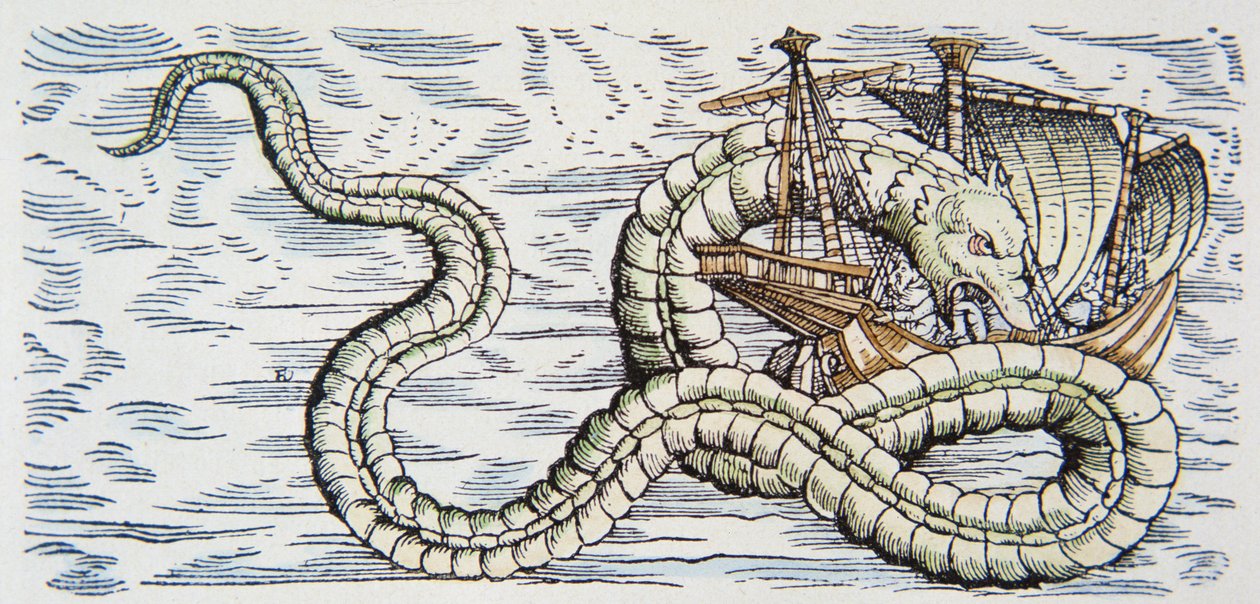 Sea serpent attacks a ship بواسطة المدرسة الألمانية