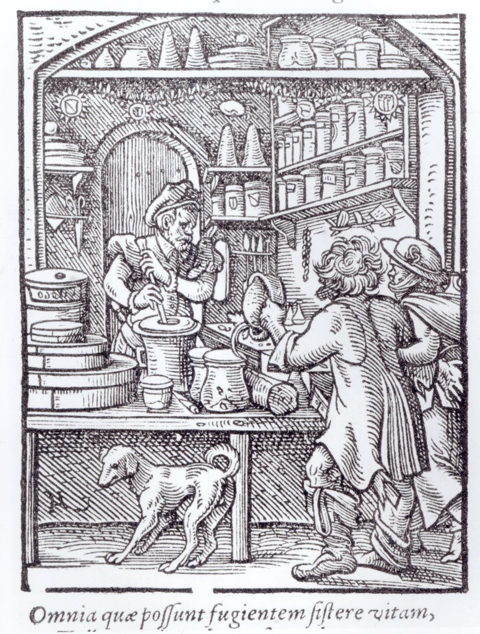 The Apothecary ، نشره هارتمان شوبر بواسطة المدرسة الألمانية