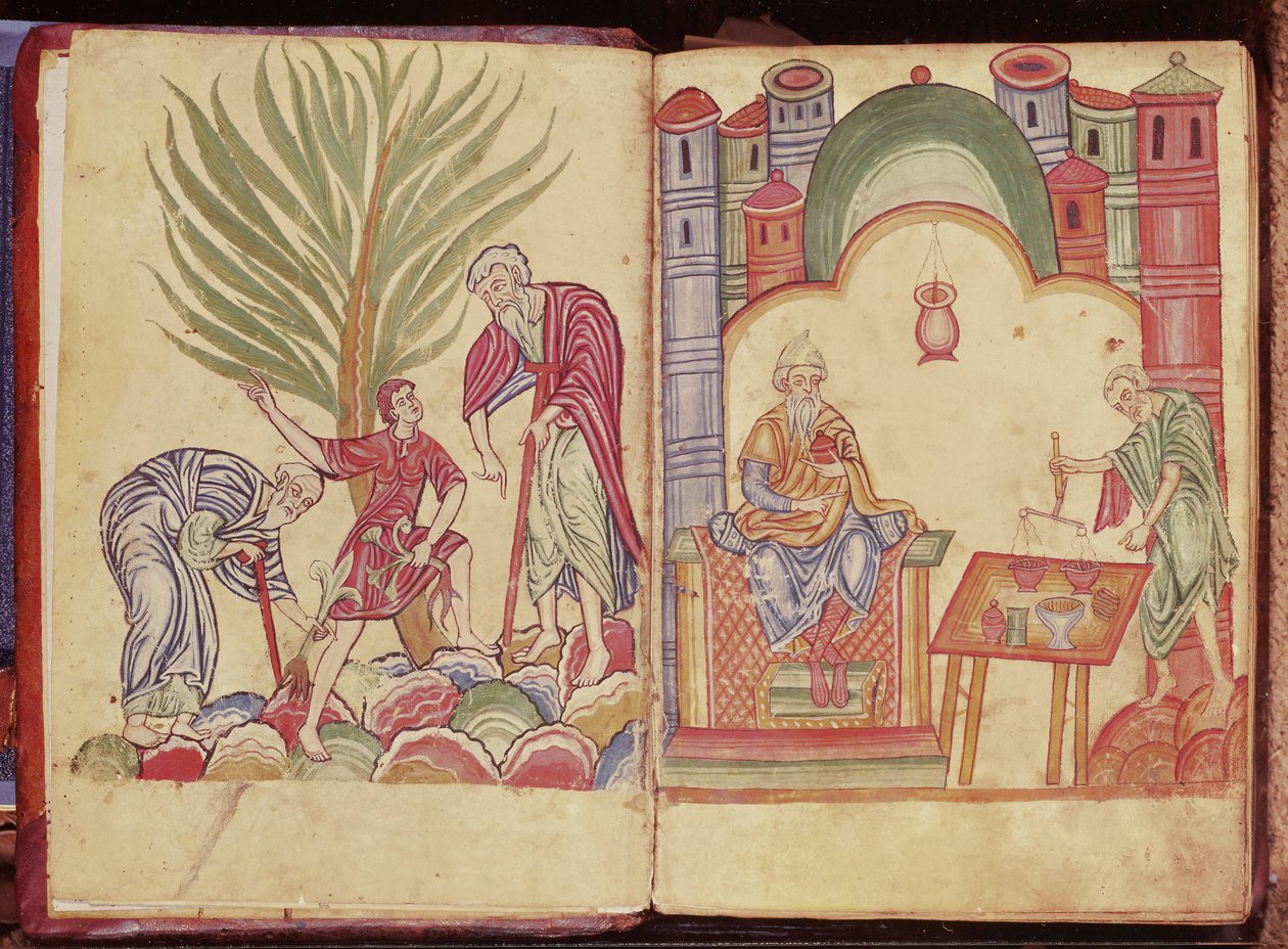 فن الصيدلة ، من Apuleius Dioscorides بواسطة المدرسة الألمانية