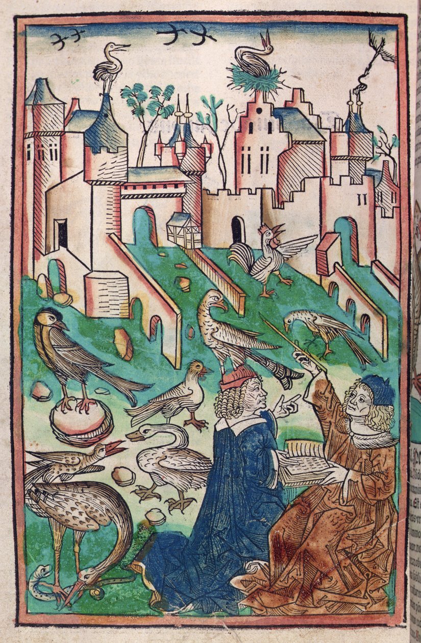 طيور ومخلوقات الهواء ، رسم توضيحي من "Hortus Sanitatis" ("حديقة الصحة") 1491 (نقش خشبي ملون) بواسطة المدرسة الألمانية