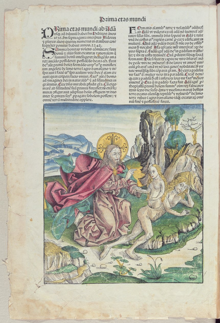ولادة حواء ، من "Liber Chronicarum" بواسطة هارتمان شيدل (1440-1514) 1493 (قطع خشبية ملونة) بواسطة المدرسة الألمانية