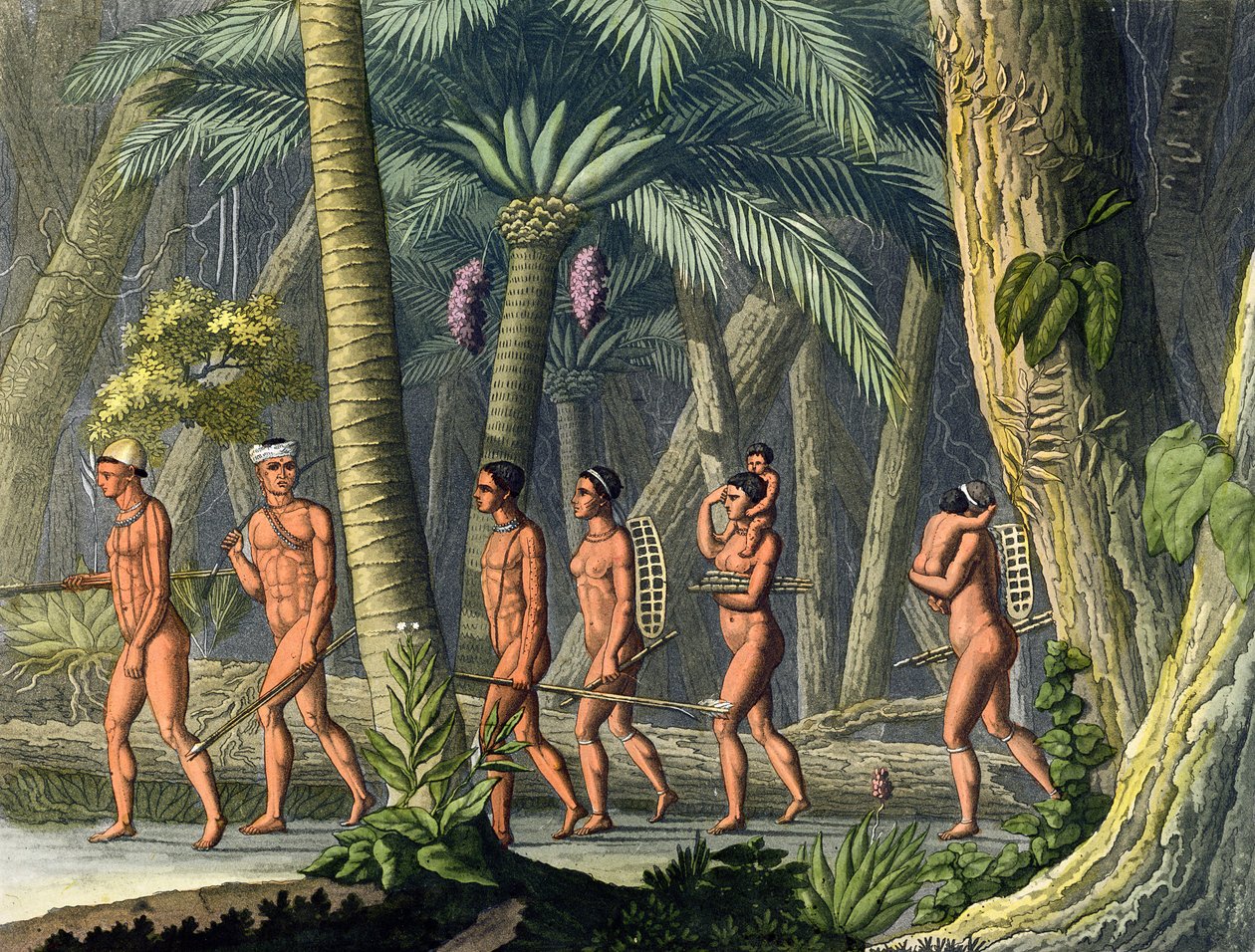 الأمريكيون الأصليون من رجال القبائل بوري في غابتهم ، من "Le Costume Ancien et Moderne" ، المجلد الأول ، اللوحة 46 ، بقلم Jules Ferrario ، تم نشره في 1820s-30s (نقش الألوان) (انظر أيضًا 177058) بواسطة جيرولامو فوماجالي