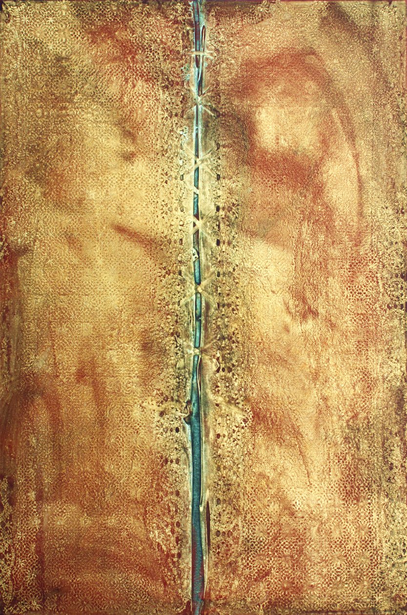  بواسطة 