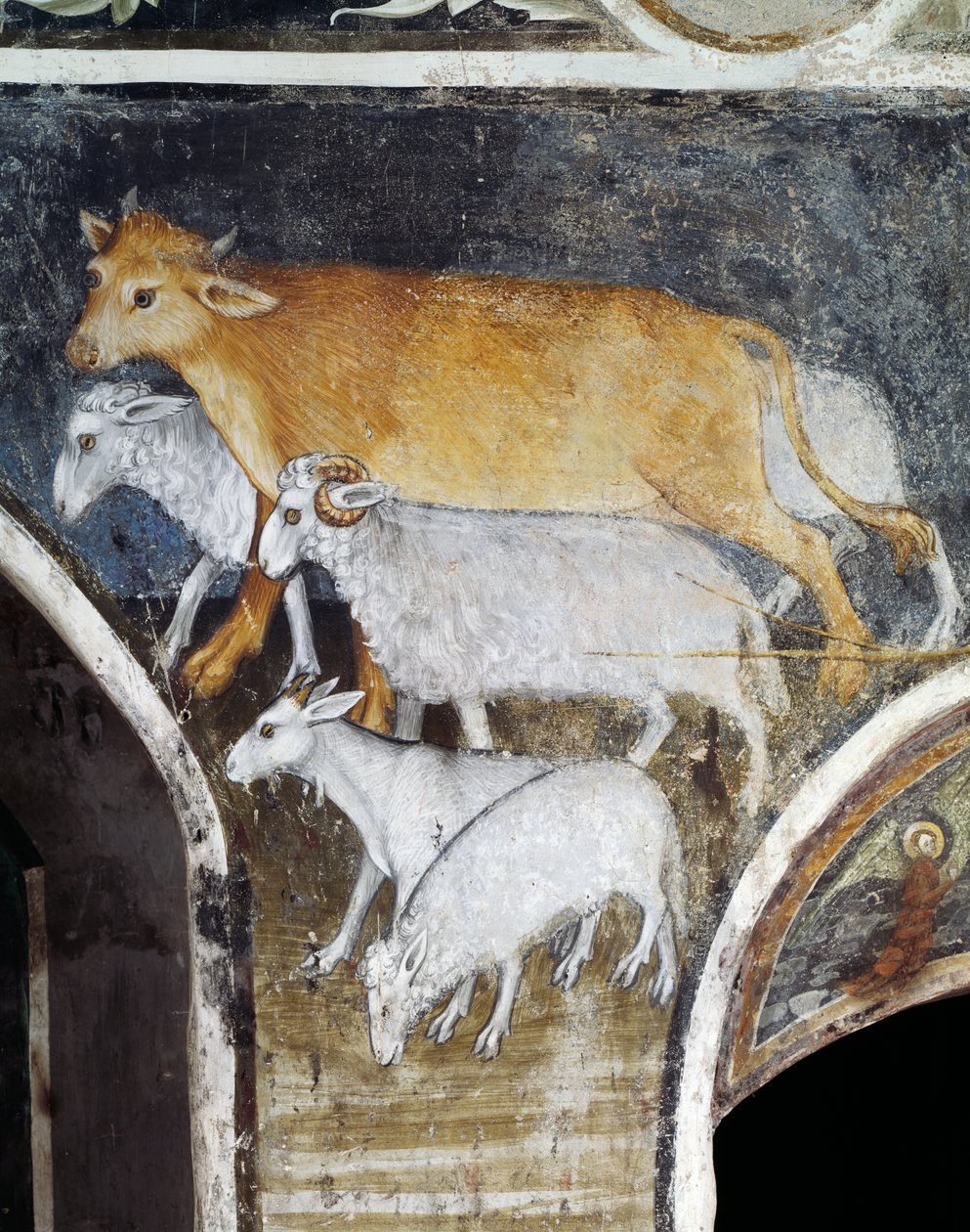 Livestock animals, detail from fresco by Giacomo Jaquerio (1375-1453), abbey of St Anthony of Ranverso, Buttigliera Alta, Piedmont, Italy بواسطة جياكومو جاكوريو