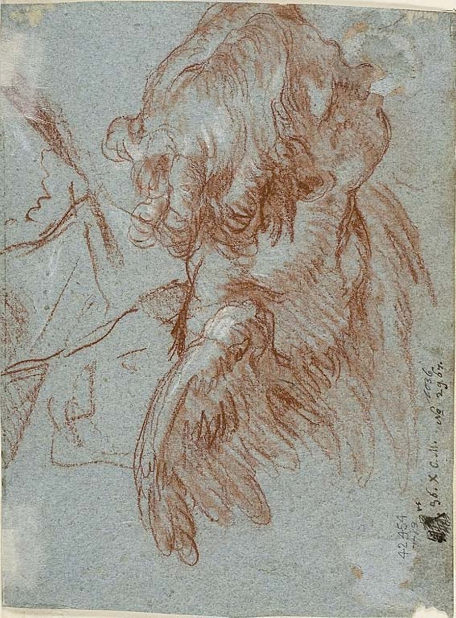 دراسة من أجل التفاصيل: رأس الكروب بواسطة Giambattista Tiepolo