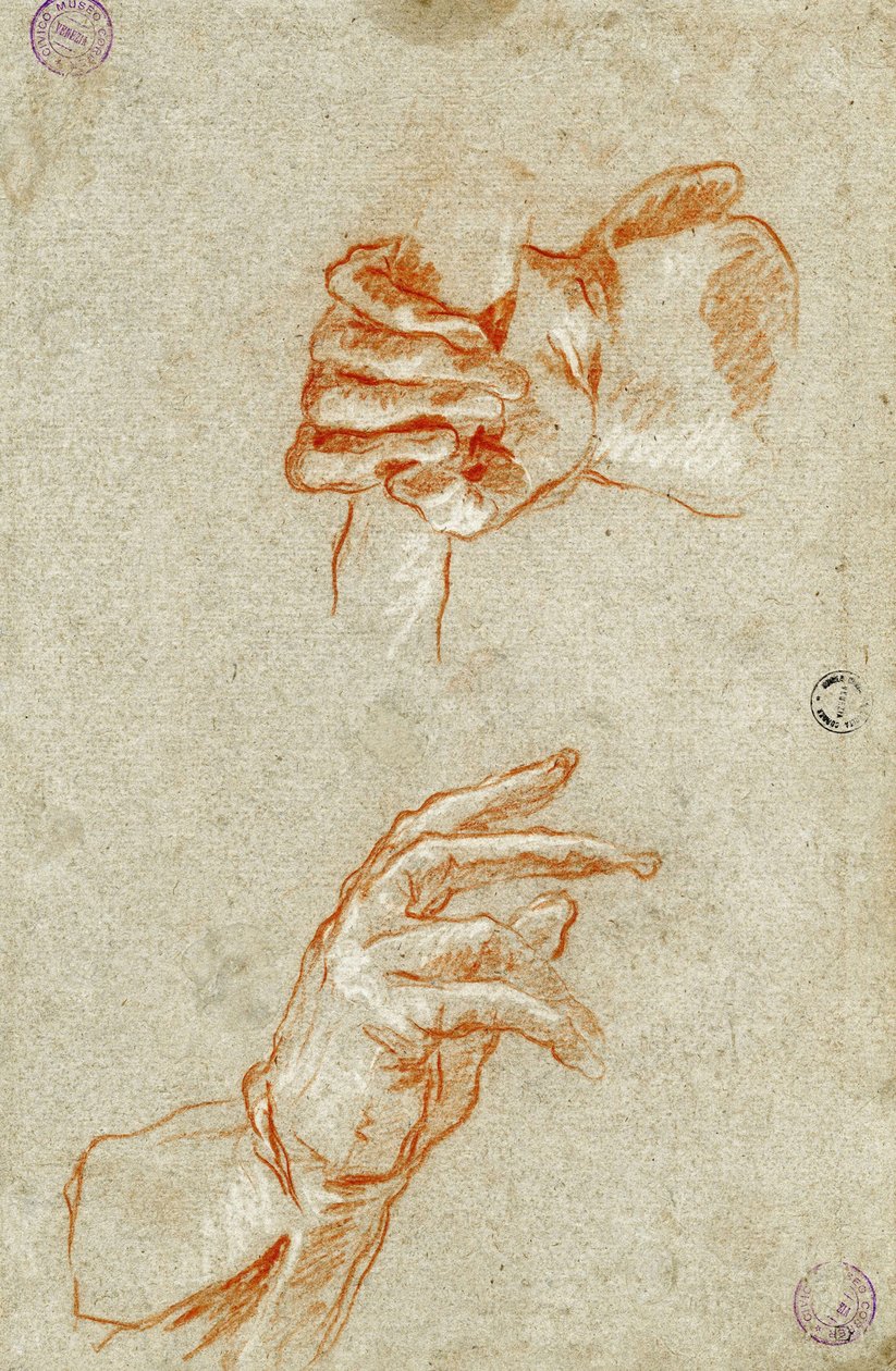 دراسة اليدين. بواسطة Giambattista Tiepolo