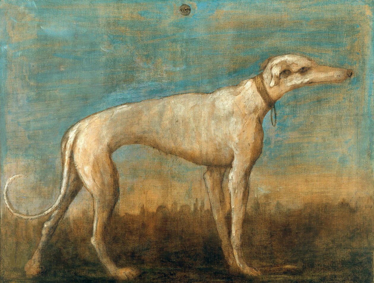 Sighthound الإيطالية ، ج. 1793. بواسطة Giambattista Tiepolo