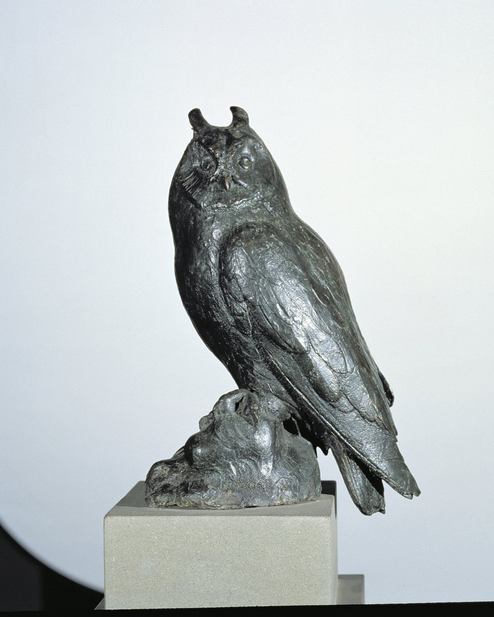 البومة (برونزية) بواسطة Giambologna