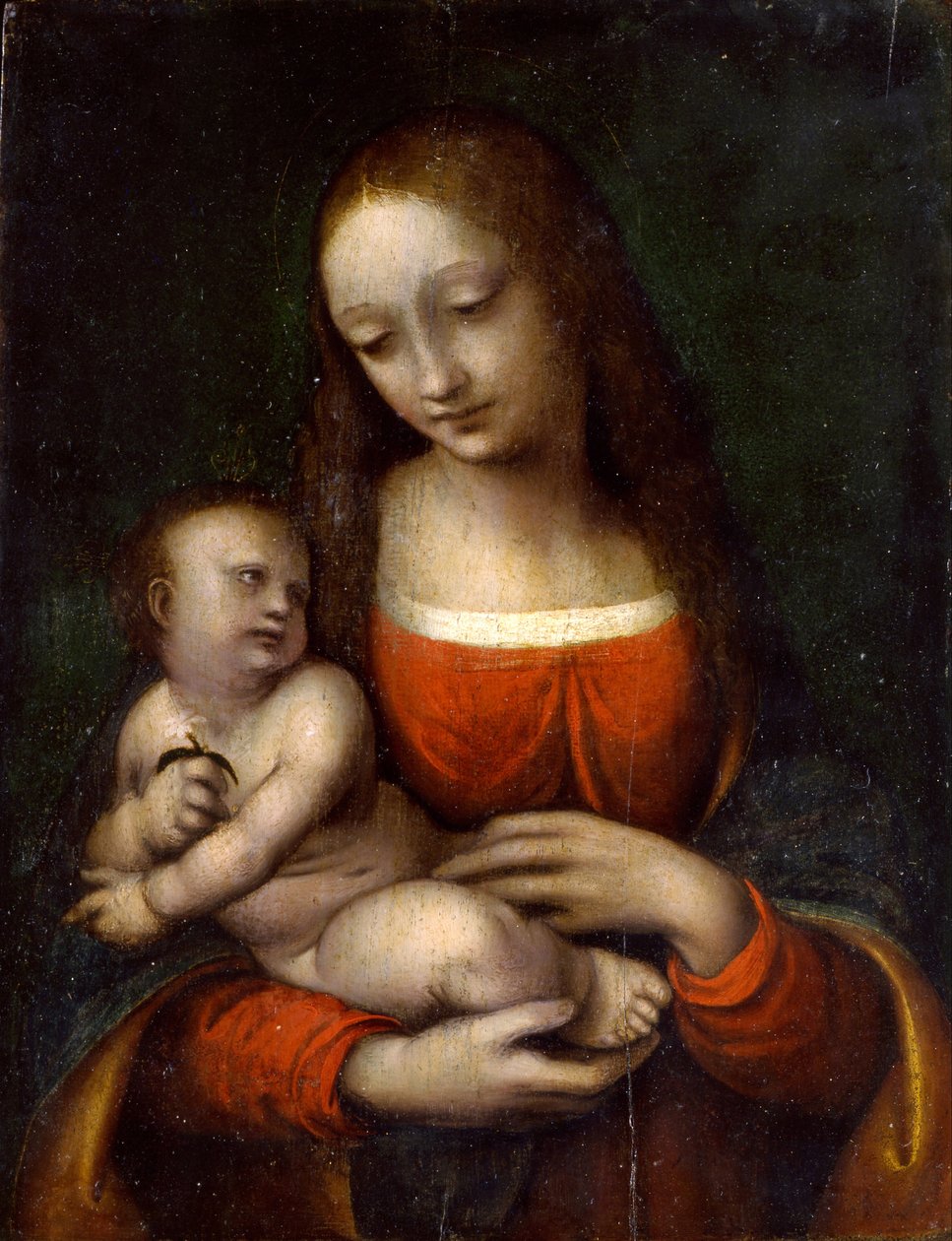 العذراء والطفل ، 1510-1515 بواسطة Giampietrino