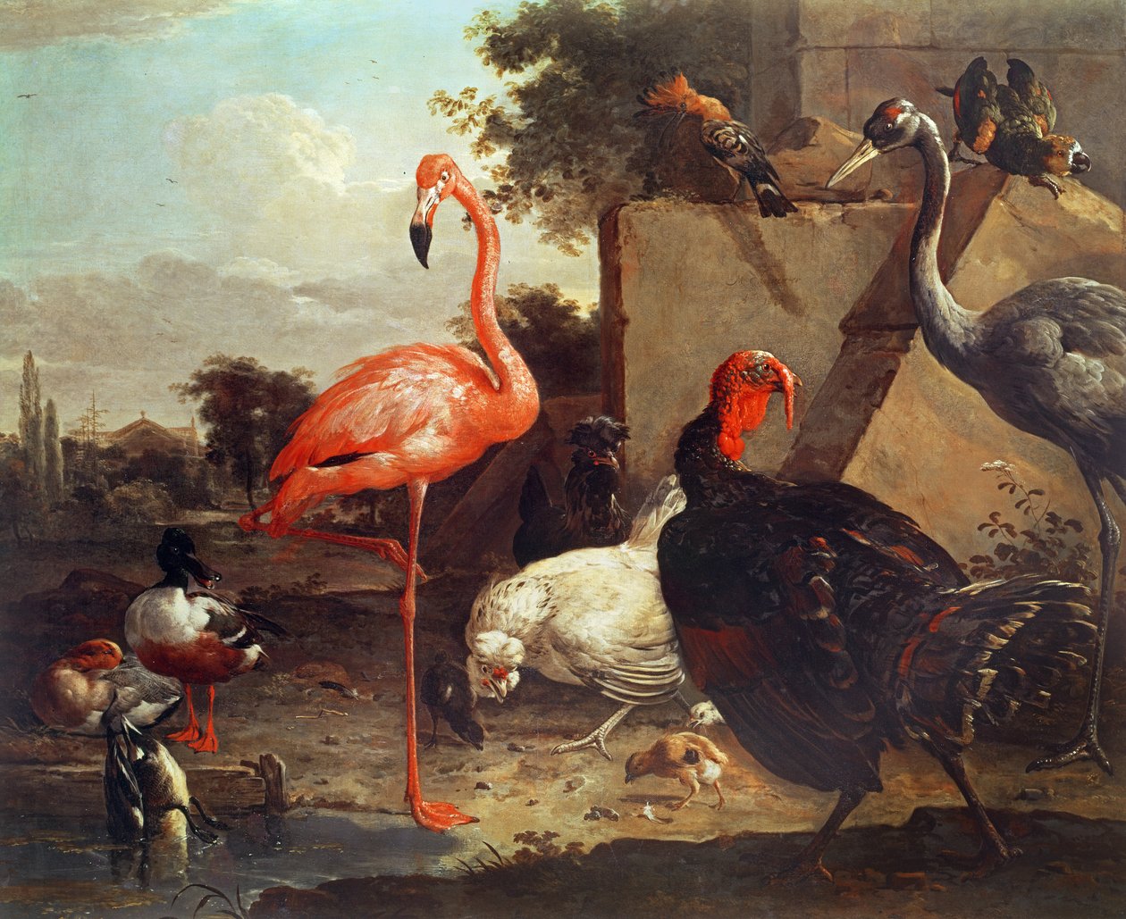 طيور مختلفة بواسطة Gillis Claesz d'Hondecoeter