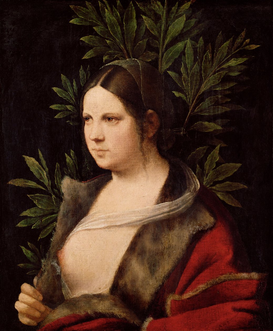 شابة لورا ، 1506 بواسطة Giorgione da Castelfranco