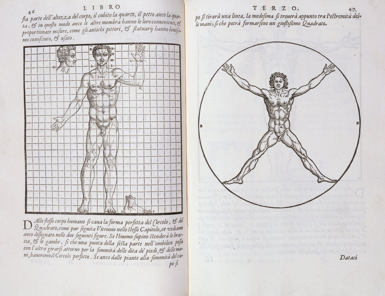 نسب مثالية تعتمد على جسم الإنسان ، من "Della Architettura" ، تم نشره عام 1590 بواسطة جيوفاني أنطونيو روسكوني