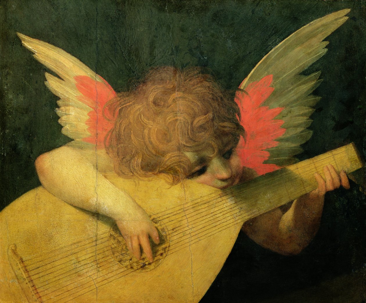 Angel Musician ، c.1520 (درجة الحرارة على اللوحة) بواسطة جيوفاني باتيستا روسو فيورنتينو