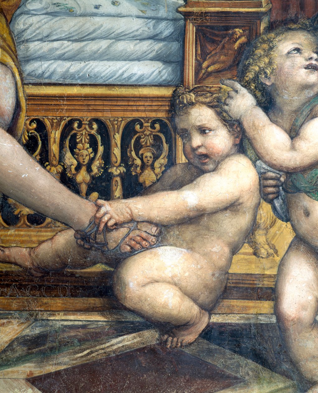 قاعة Sala delle Nozze di Alessandro e Rossana Hall of the Alexander of the Great of Alexander 356-323 BC and Roxanne detail of putto pulling Roxannes foot، c.1513 fresco detail of 107228 بواسطة جيوفاني أنطونيو بزي سودوما