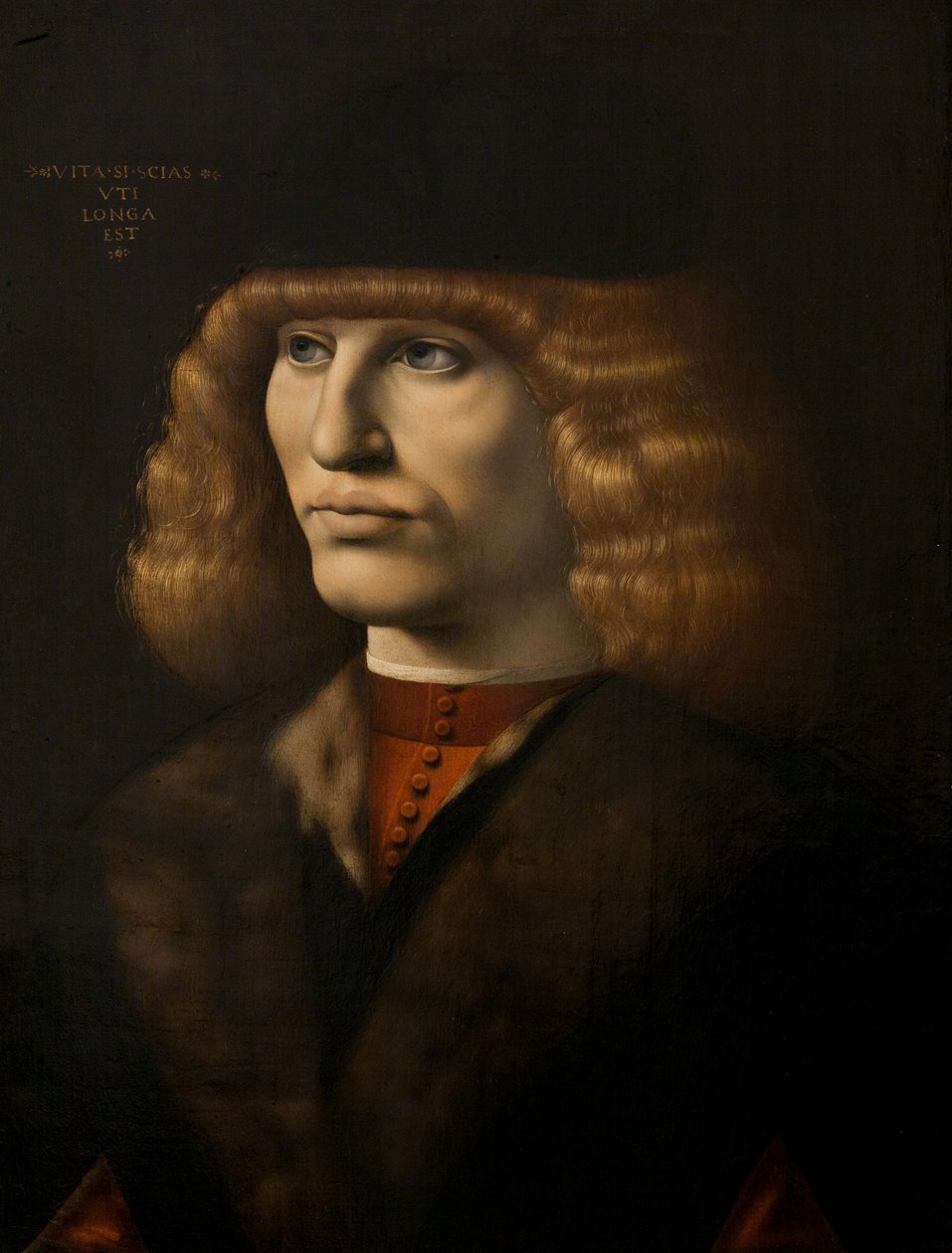 Portrait of a young man, c.1500 (oil on panel) بواسطة جيوفاني أنطونيو بولترافيو