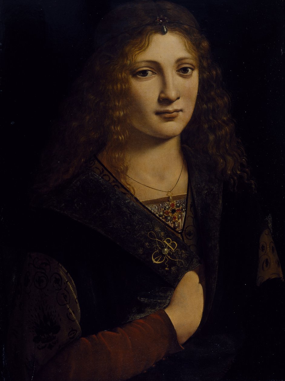 Portrait of a young man, possibly Girolamo Casio, c.1500 (oil on wood panel) بواسطة جيوفاني أنطونيو بولترافيو
