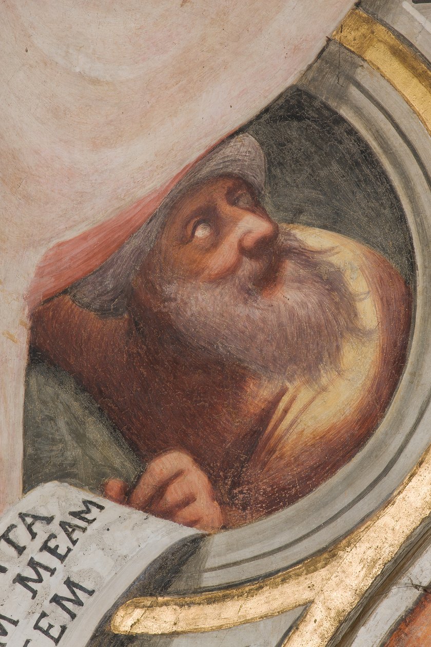Central Ave, Plume First Span South, IL Pordenone 1520, Bust with Prophet بواسطة جيوفاني أنطونيو بوردينوني