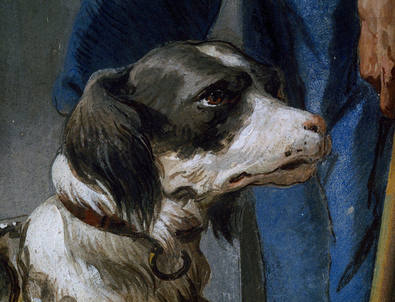 Dog Argo, detail from fresco by Giovanni Battista Tiepolo (1696-1770) بواسطة جيوفاني باتيستا تيبولو