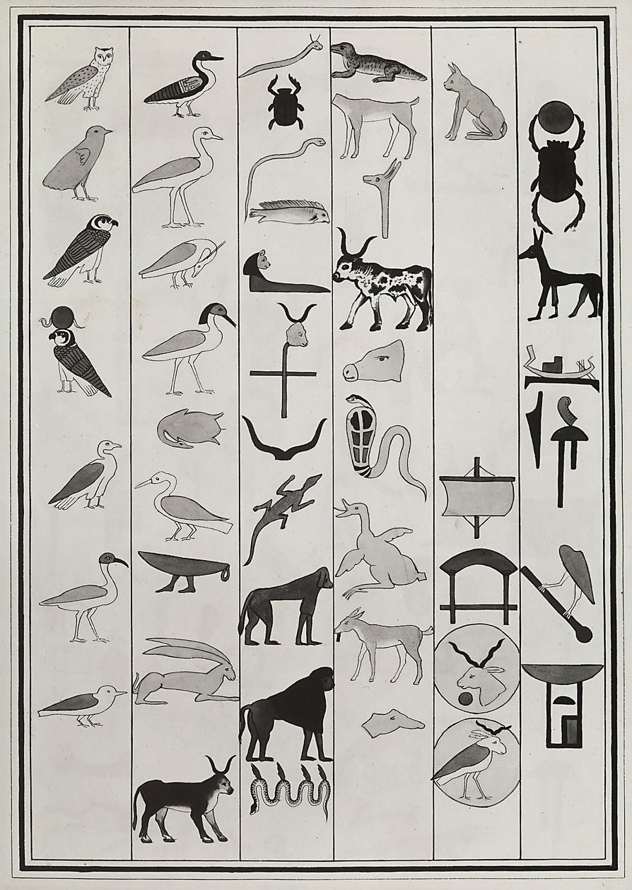 رسومات الزخارف من داخل قبر الفرعون Psammetic الأول ، التي أعيد إنتاجها عام 1817 بواسطة جيوفاني باتيستا بيلزوني ، والموجودة في المتحف البريطاني ، لندن بواسطة جيوفاني باتيستا بيلزوني