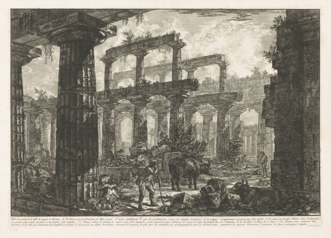 معبد نبتون في بايستوم Vue des restes de la Celle du Temple de Neptune (العنوان على الكائن) مناظر مختلفة لبقايا ثلاثة مبان كبيرة لا تزال قائمة في بايستوم (عنوان السلسلة) Différentes vues de quelques restes de trois gr بواسطة جيوفاني باتيستا بيرانيسي