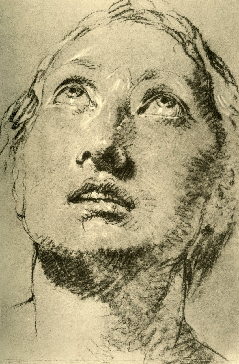 رأس امرأة شابة ، نظر لأعلى ، c1755 ، 1928 بواسطة جيوفاني باتيستا تيبولو