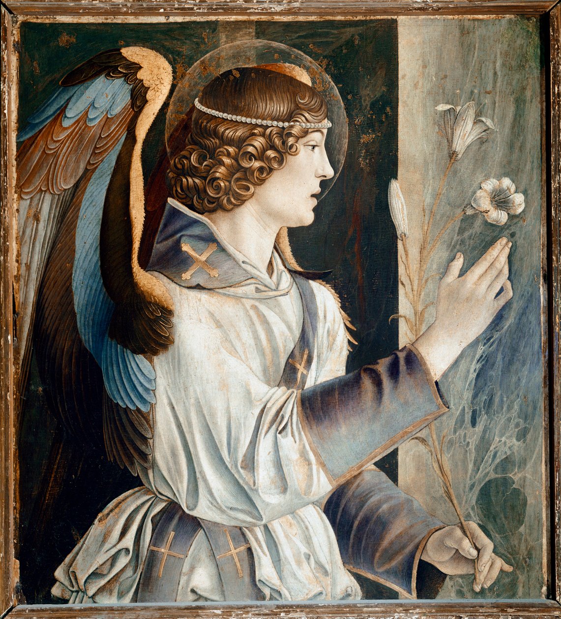 Polyptych of St Vincent Ferrier: ملاك البشارة (Polyptych of St Vincent Ferrer: Angel of the Anniversary) لوحة لجيوفاني بيليني ديت إيل جيامبيلينو (حوالي 1432-1516) 1464-1468 قاتمة 72x67 سم كنيسة سانتي جيوفاني إي باولو في البندقية بواسطة جيوفاني بيليني