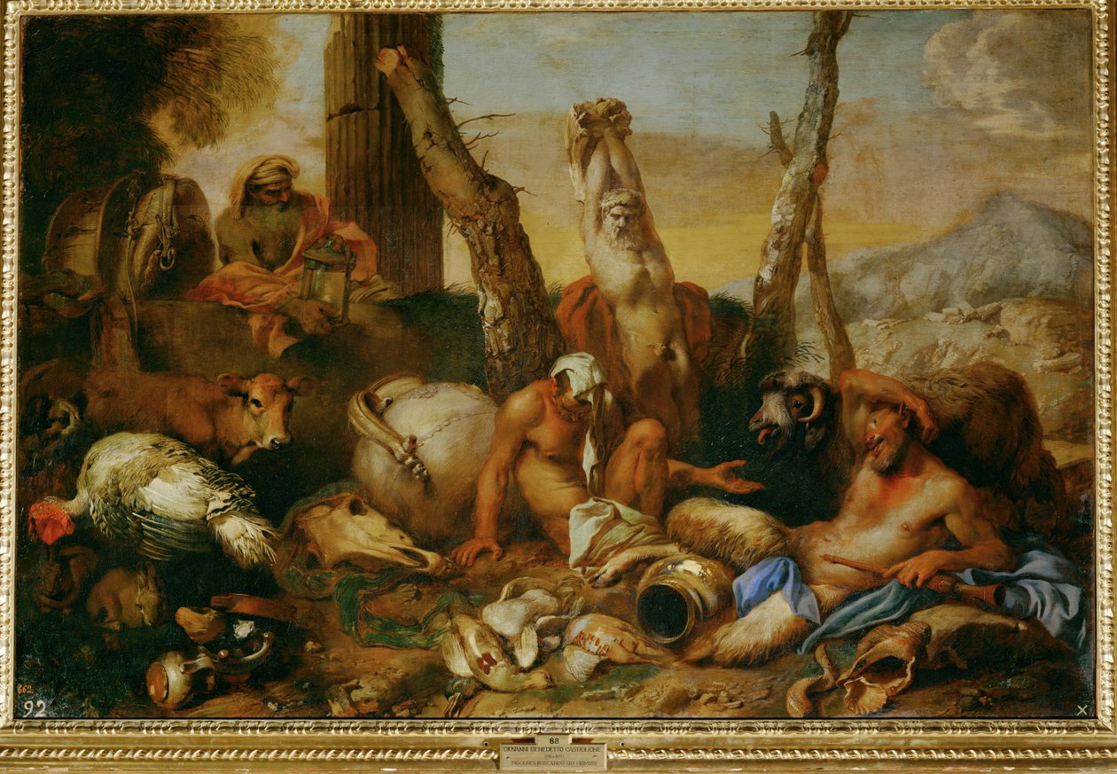 ديوجين (لوحة على قماش) بواسطة جيوفاني بينيديتو (1609-64) كاستيجليون