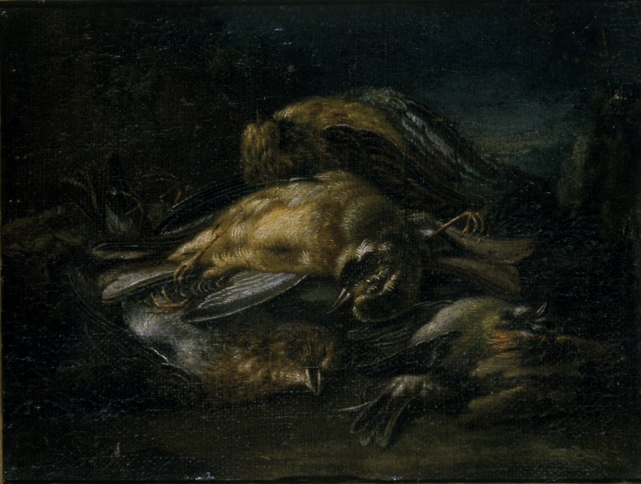 Dead Bird ، 1664 بواسطة جيوفاني بينيديتو كاستيجليون