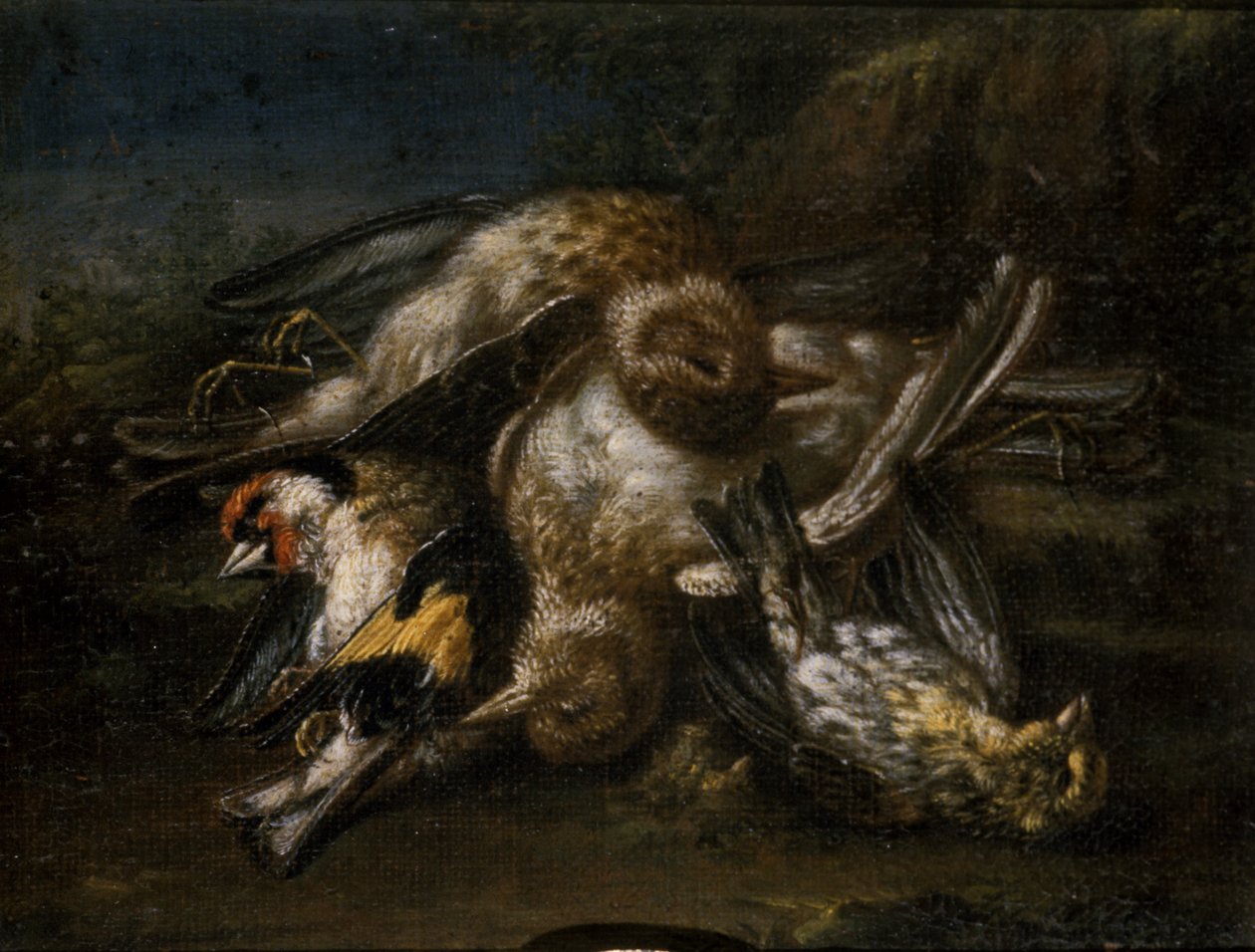 Dead Birds (زيت على خشب الزيزفون) بواسطة جيوفاني بينيديتو كاستيجليون