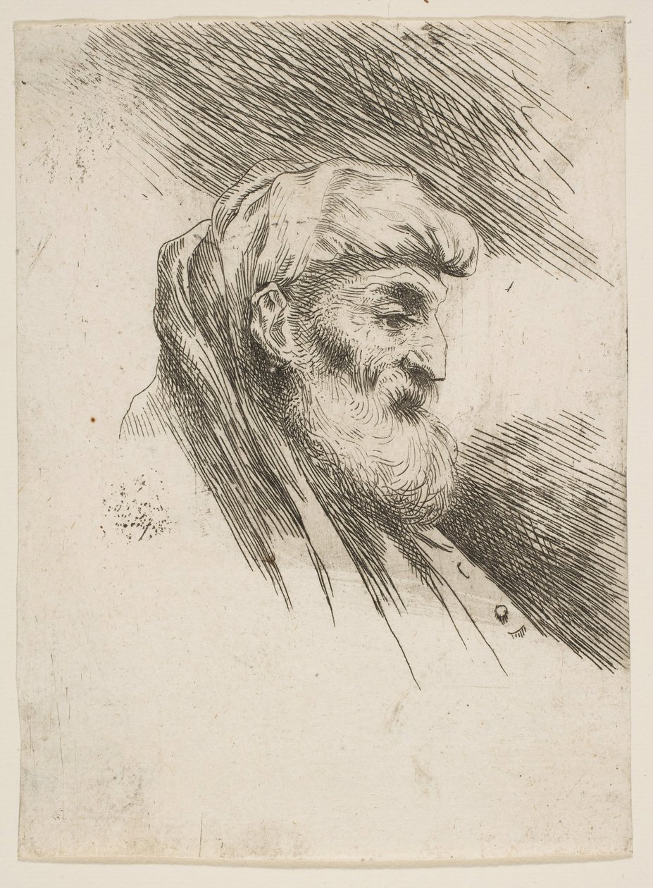 رأس رجل ملتح عجوز يواجه اليمين ، من سلسلة Small Heads in Orien ...، ca. 1645-1650. بواسطة جيوفاني بينيديتو كاستيجليون