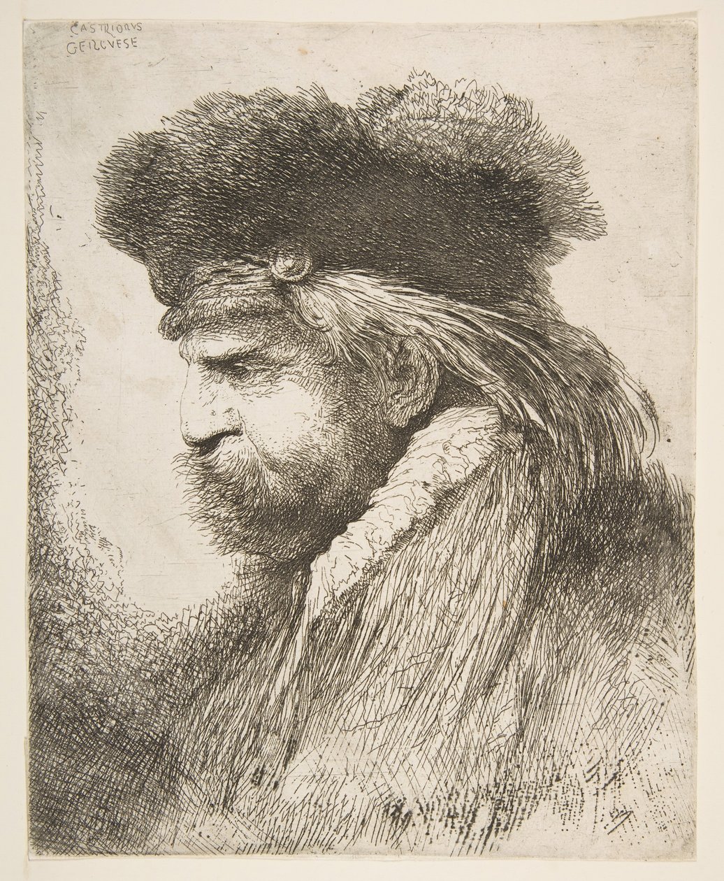 رأس رجل عجوز يواجه اليسار ، من سلسلة الرؤوس الشرقية الكبيرة ، كاليفورنيا. 1645-50. بواسطة جيوفاني بينيديتو كاستيجليون