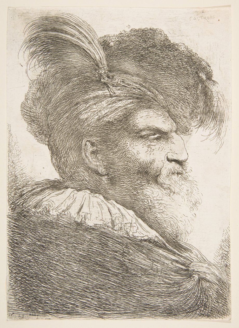 رأس رجل عجوز يواجه اليمين ، من سلسلة الرؤوس الشرقية الكبيرة ، كاليفورنيا. 1645-1650. بواسطة جيوفاني بينيديتو كاستيجليون